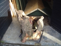  might turn it into somthing more than just logs
